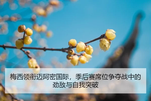 梅西领衔迈阿密国际，季后赛席位争夺战中的劲敌与自我突破