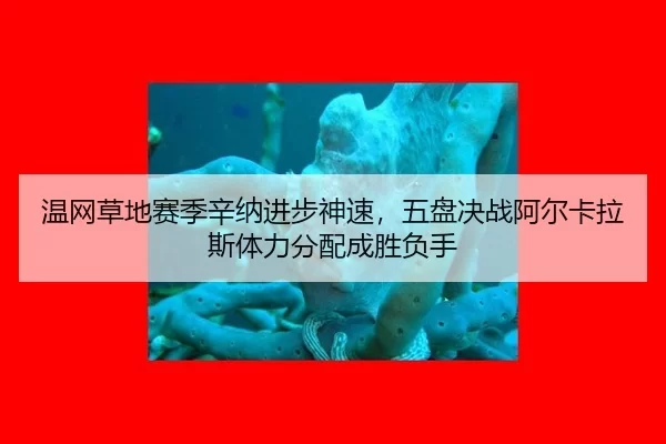 wen-wang-cao-di-sai-ji-xin-na-jin-bu-shen-su-wu-pan-jue-zhan-a-er-ka-la-si-ti-li-fen-pei-cheng-sheng-fu-shou-2-734.jpg