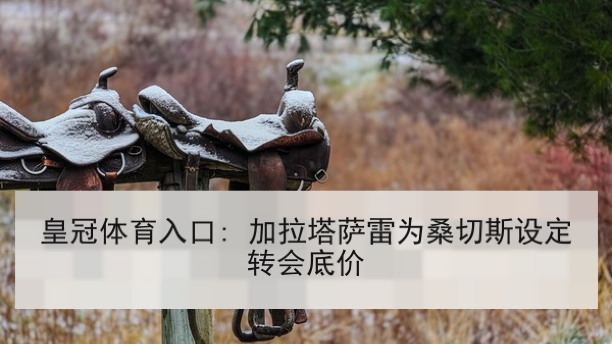 皇冠体育入口: 加拉塔萨雷为桑切斯设定转会底价