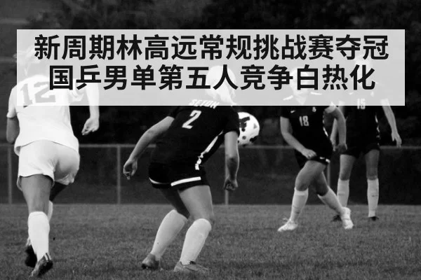 新周期林高远常规挑战赛夺冠国乒男单第五人竞争白热化